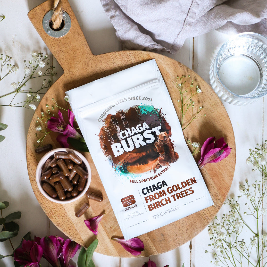 Chaga Extract