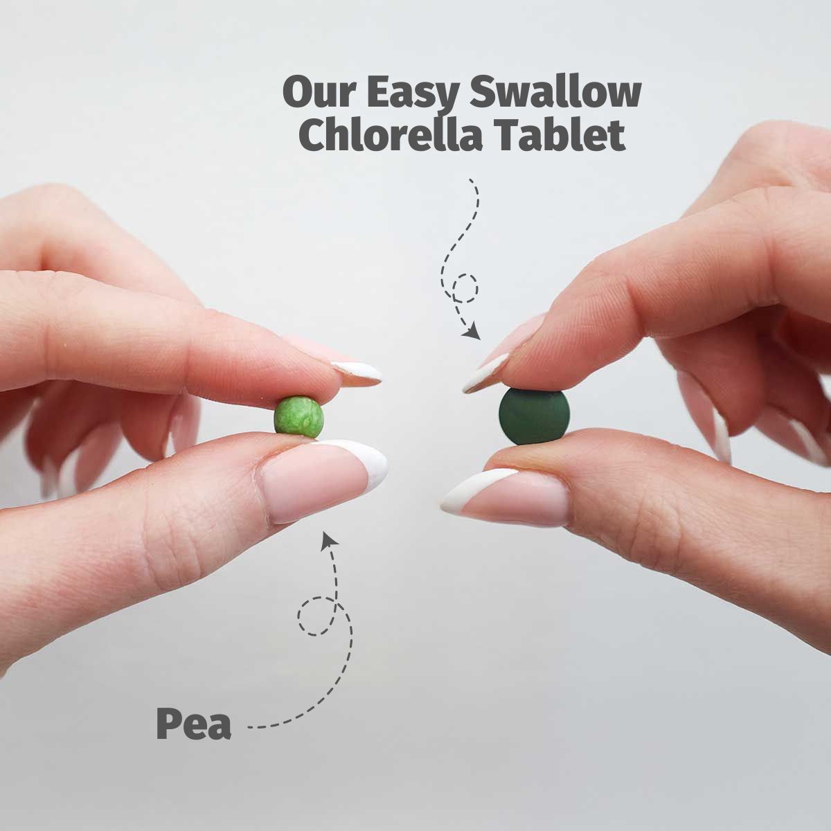 Chlorella