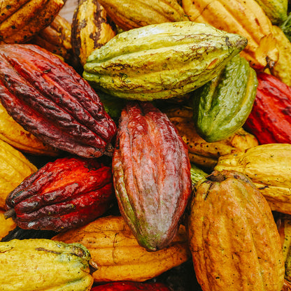 Cacao